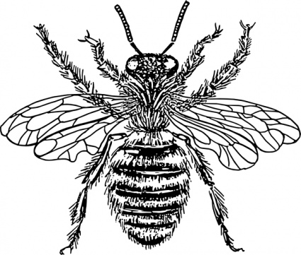 Queen Bee Cliparts