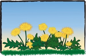 Dandelions Clipart Image 