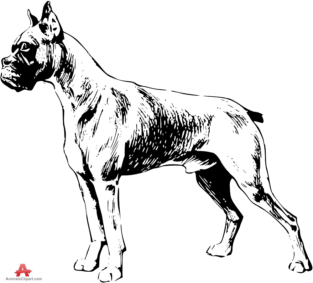 Top 102+ Wallpaper Black And White Boxer Dog Latest 10/2023