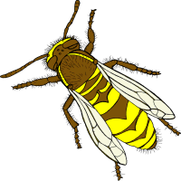 Queen Bee Cliparts