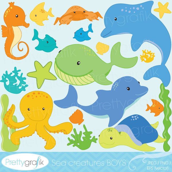 Ocean Theme 