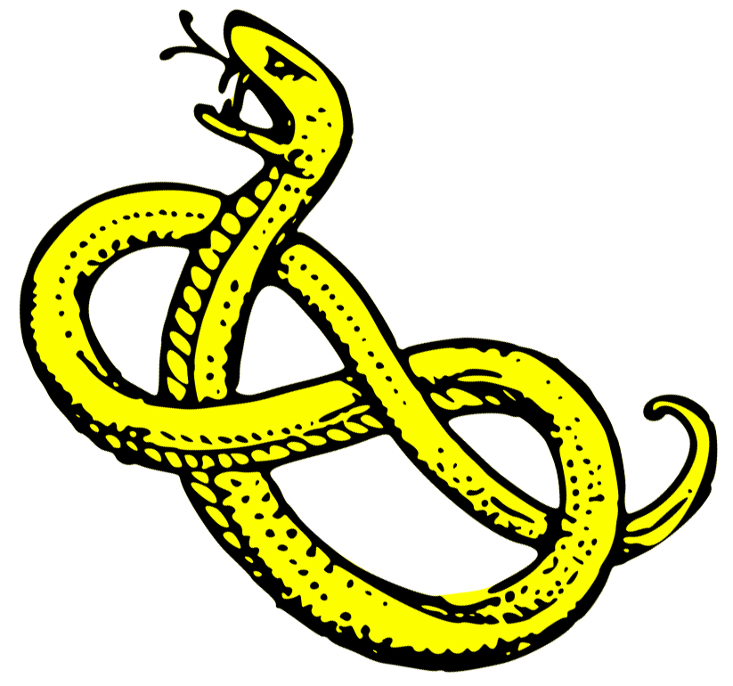 Cut snakes clip art 