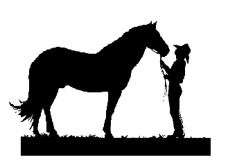 Western Saddle Cliparts