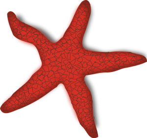 Free Red Fish Cliparts, Download Free Red Fish Cliparts png images ...