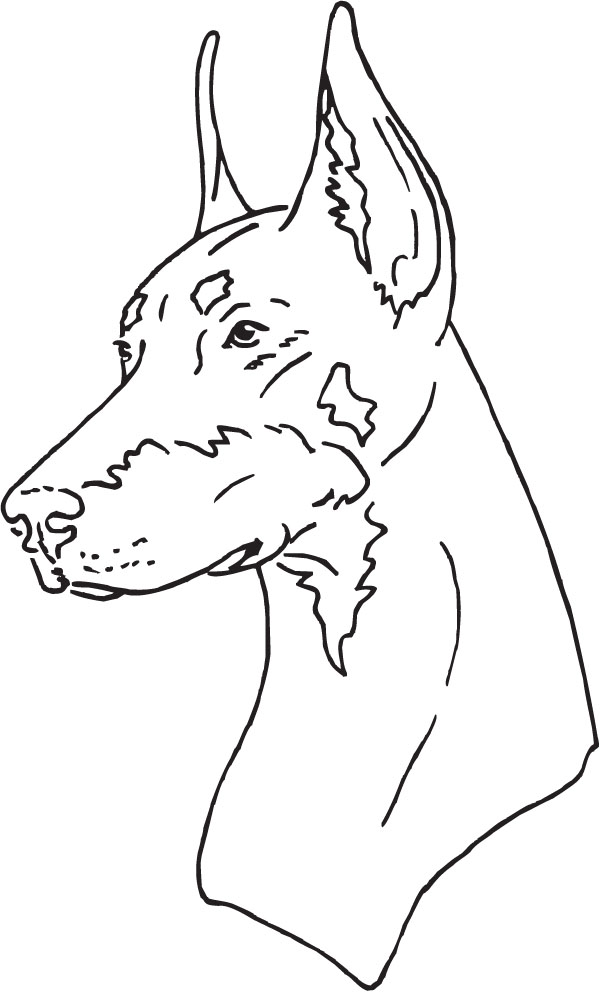 Doberman Head Outline Dog Pet Lover Art For Custom Gifts 