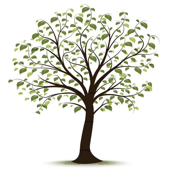 Clip art family tree … 