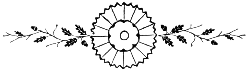 Floral Divider Clipart 