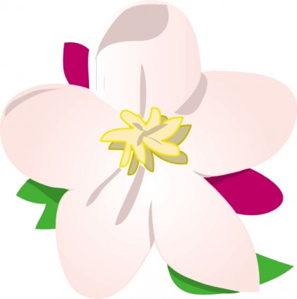 Cherry Blossom Flower Art 