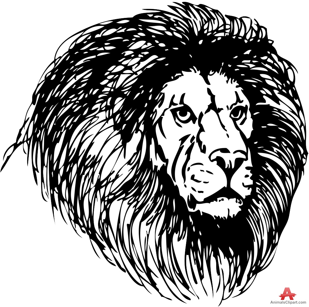 African Lion Cliparts