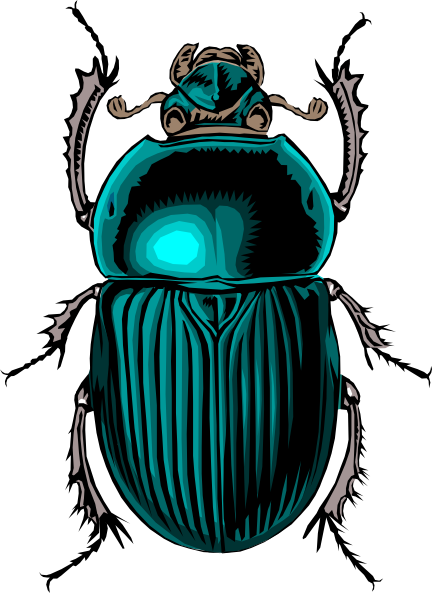 Bug Clipart 