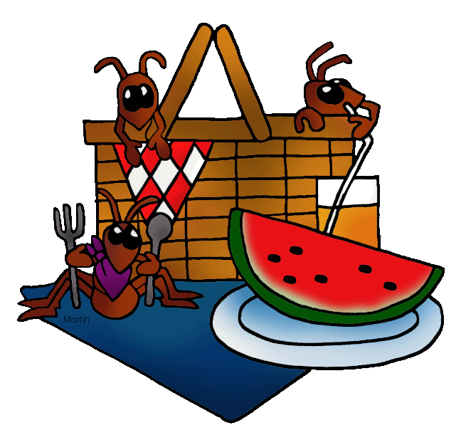 Parish Picnic 