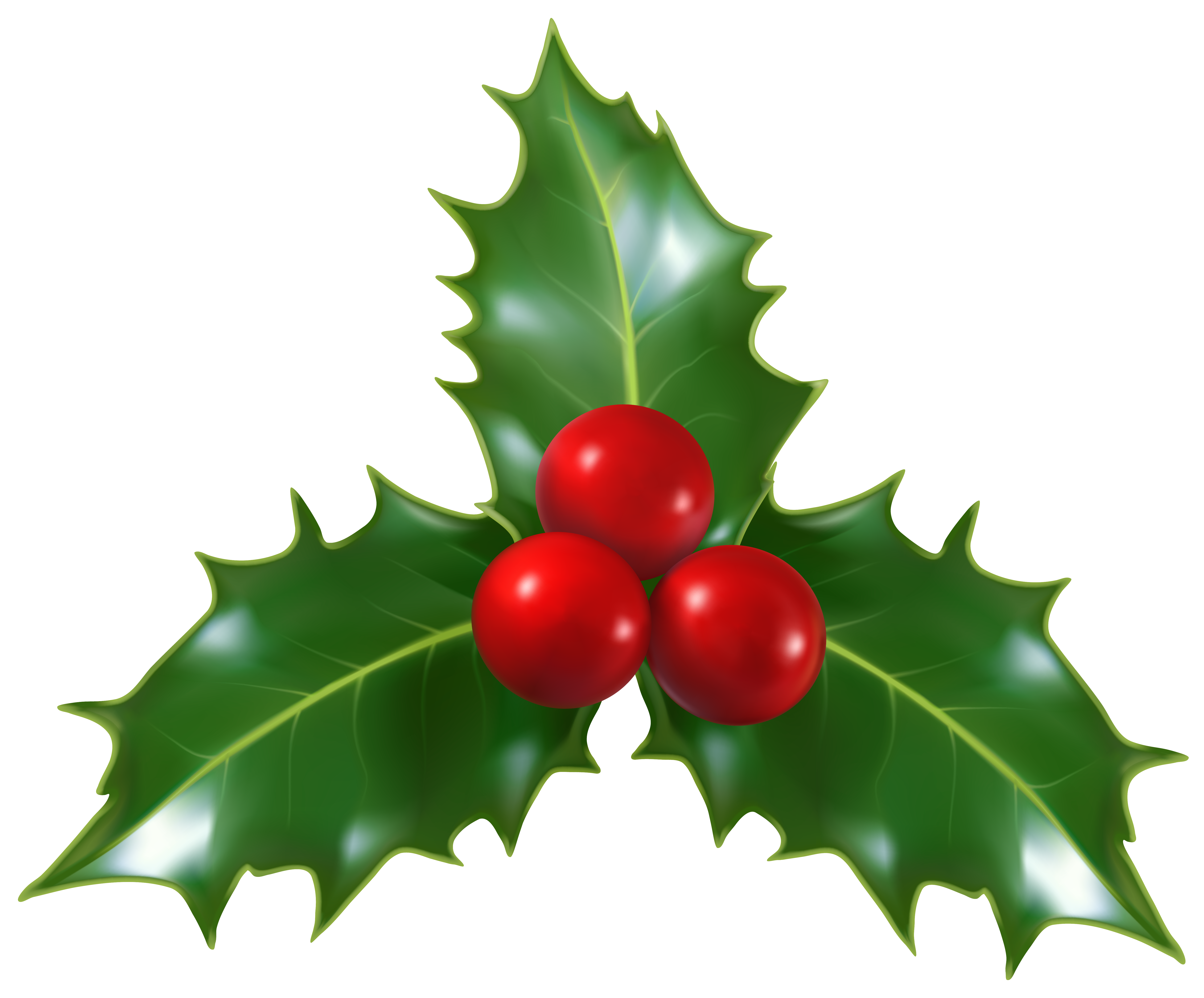 Christmas Holly Mistletoe PNG Clip 
