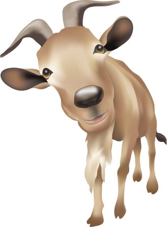 Cliparts Baby Goat