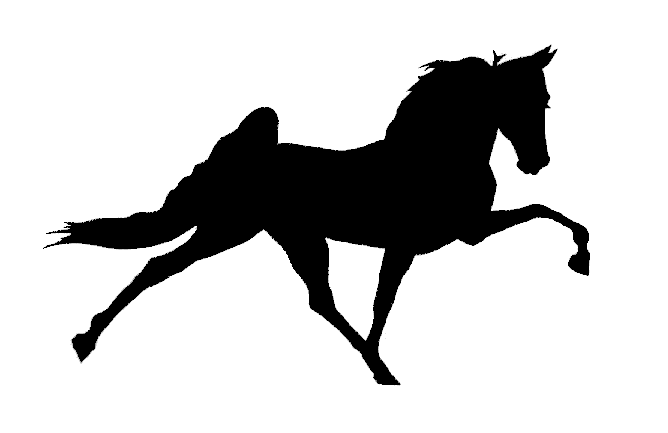 Tennessee Walking Horse Clipart 
