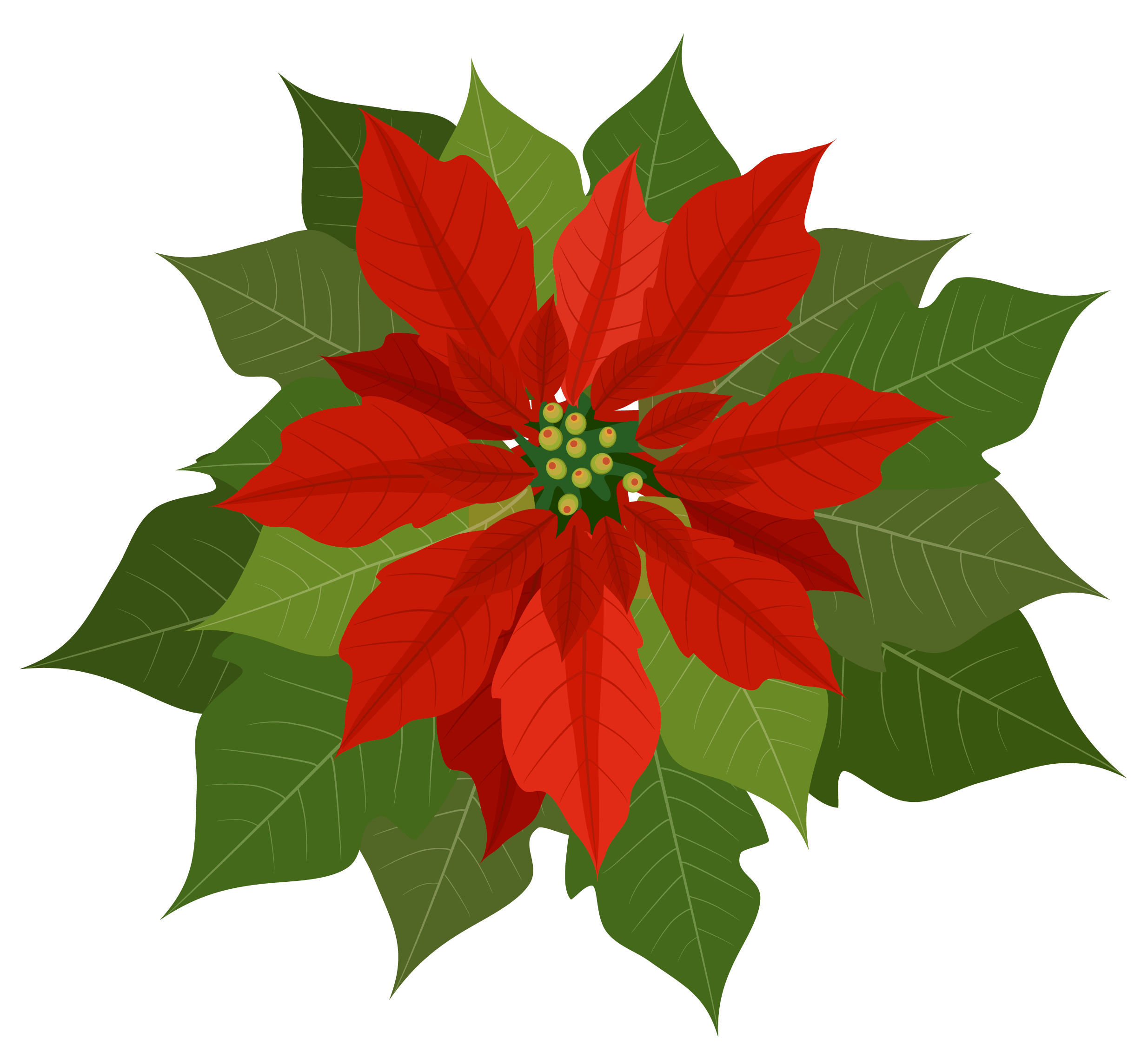 Clipart Red Poinsettia And Gold Ribbon Background With Swirls 