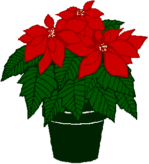 Poinsettia Cliparts Free