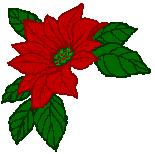 Poinsettia Cliparts Free