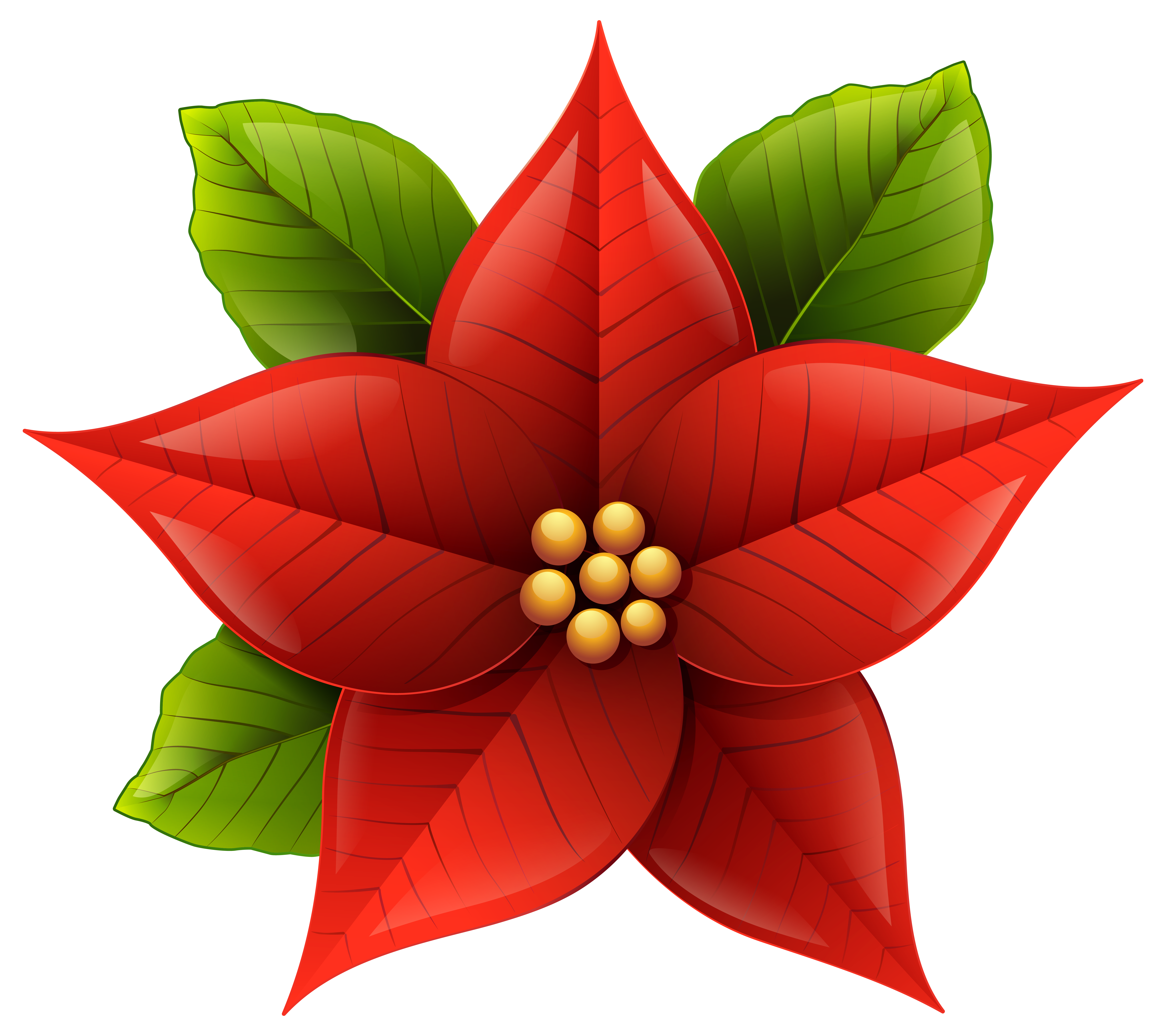 Poinsettia Flower Clipart Image