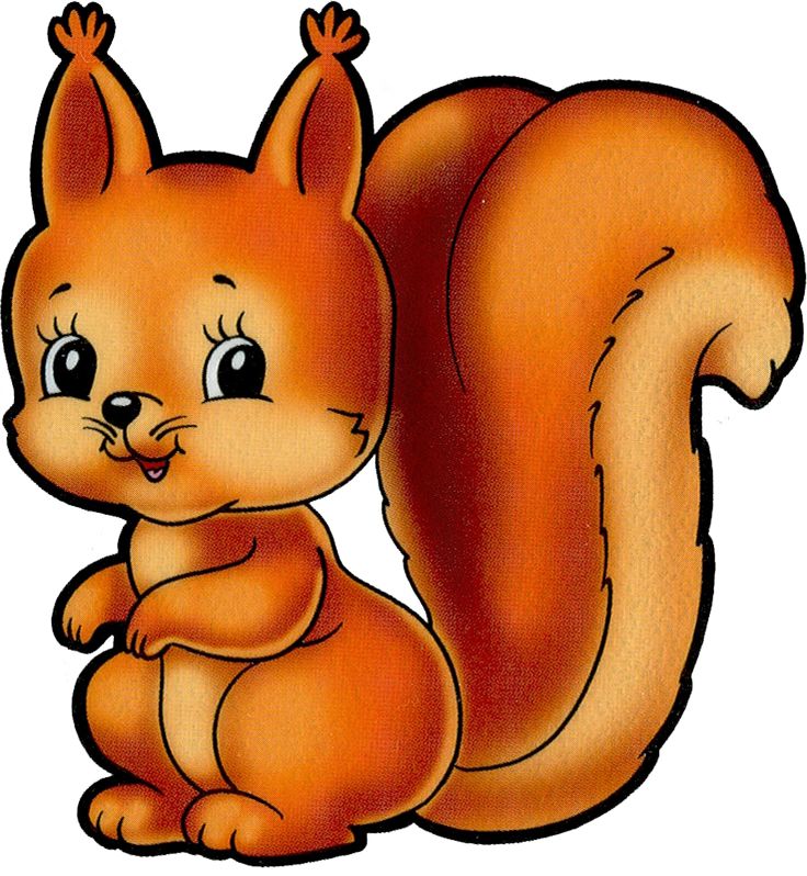 1000+ image about Acorn and Squirrelly clipart and backgrounds on 