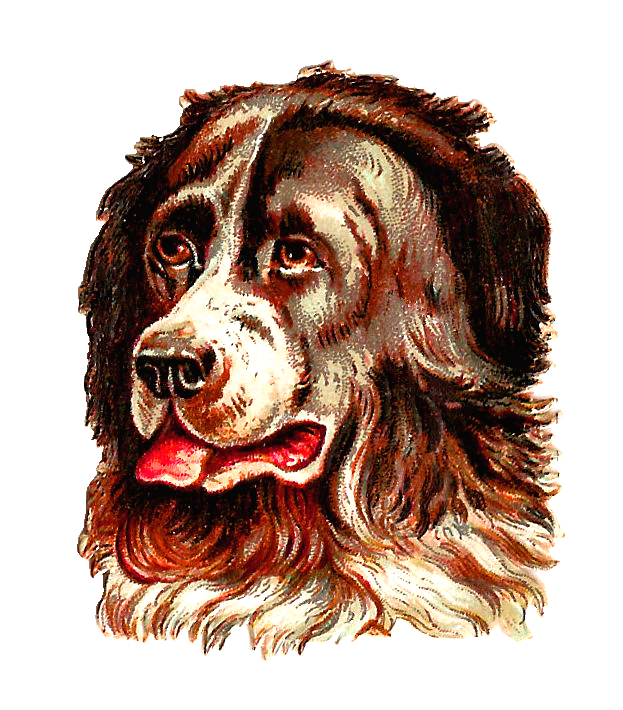 Victorian Animal Cliparts
