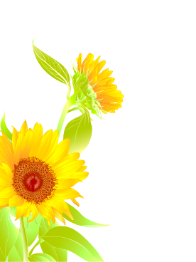 Sunflower Clipart Wedding Shabby Chic Sunflowers Country Party 