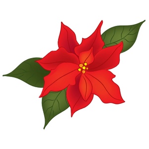 Christmas Flower Clipart 