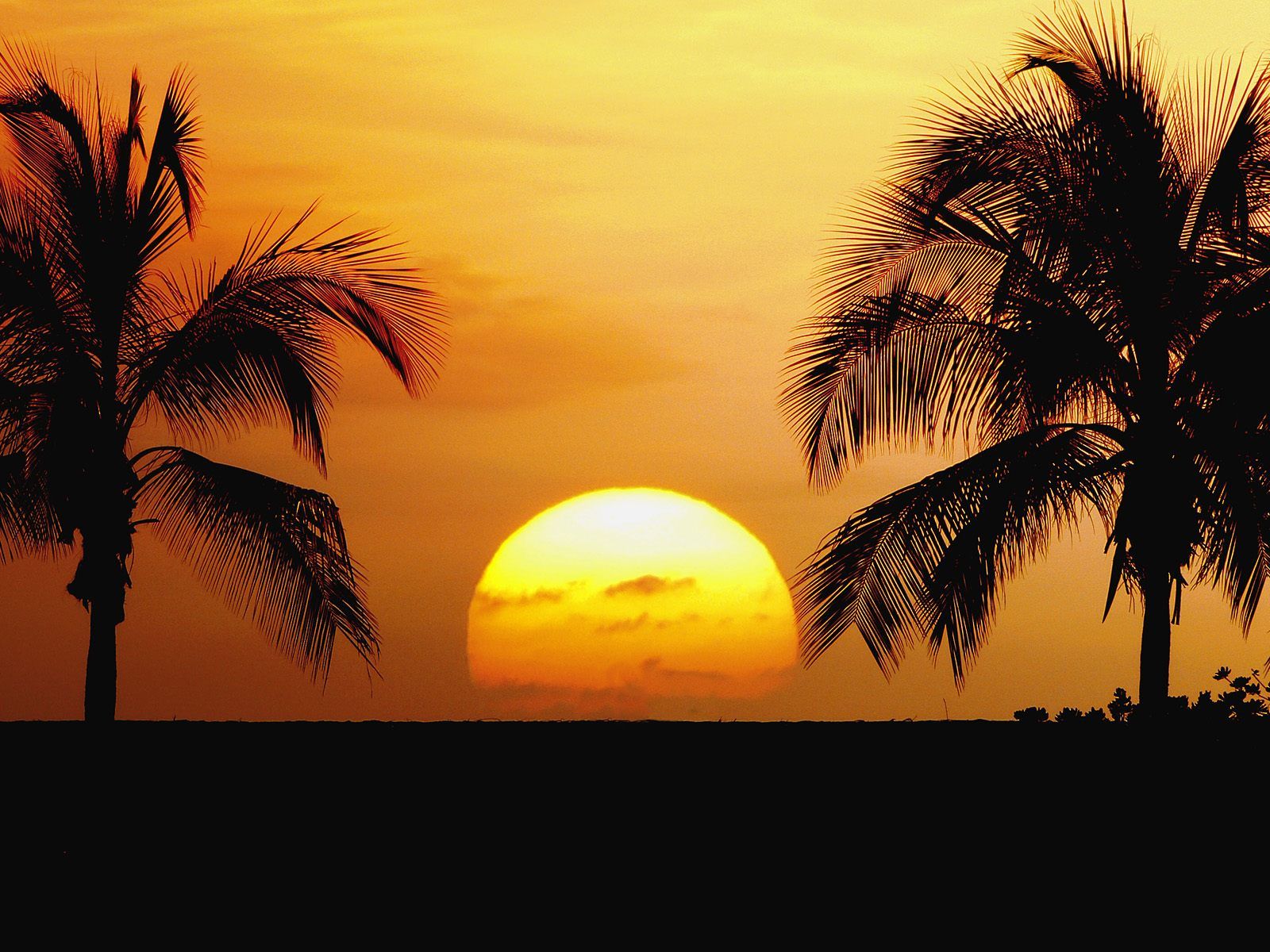Paradise Sunset Clipart 