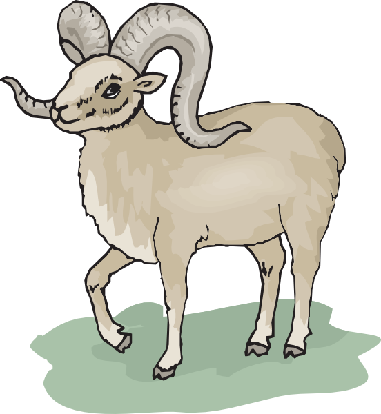 Horn Sheep Clipart 