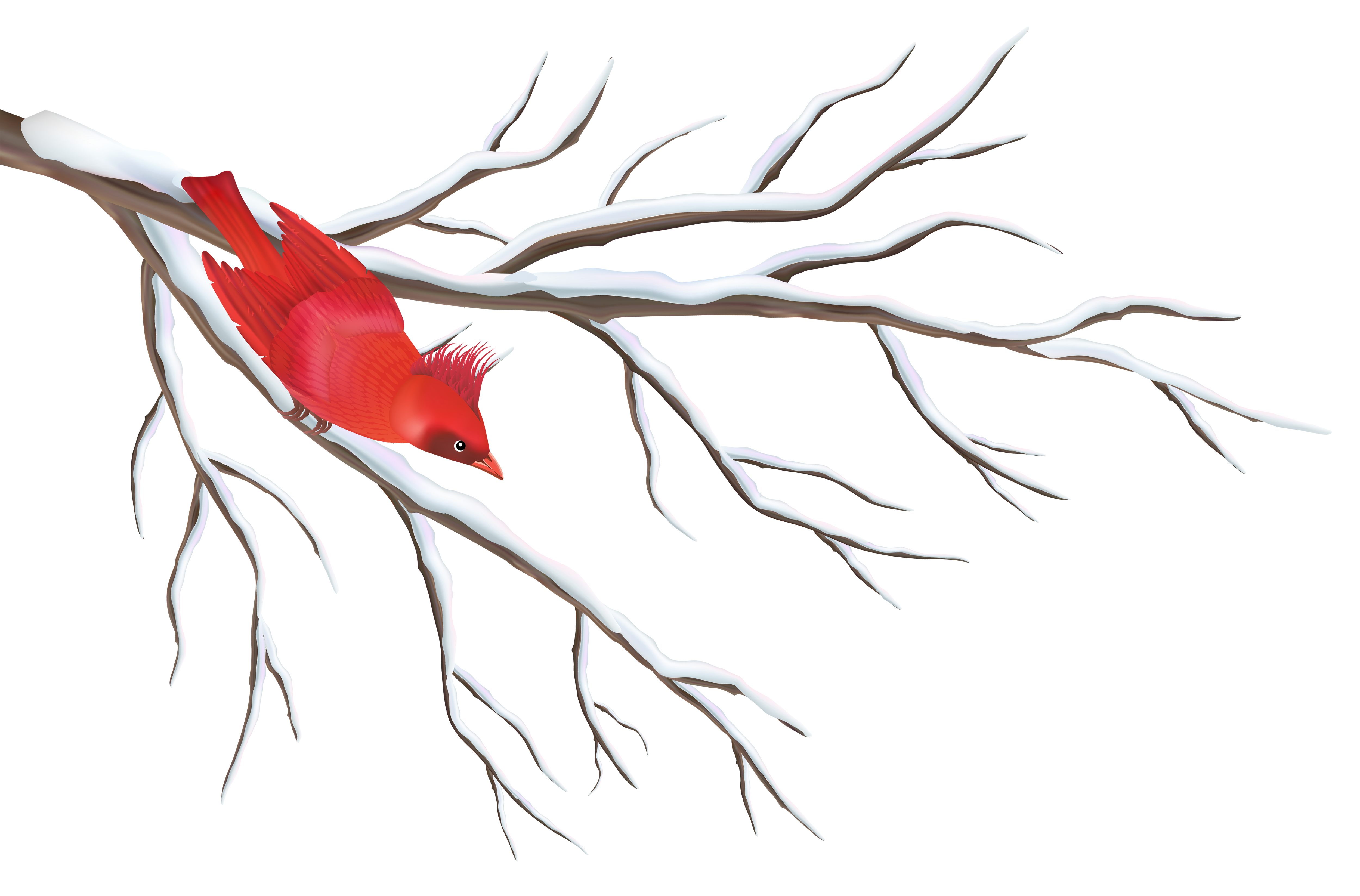 Winter Branch with Bird PNG Clipart Image 