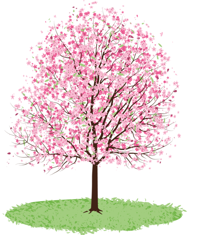 Spring tree free clipart 