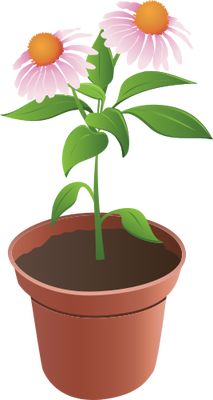 Plant in flower pot [???????????????].png 