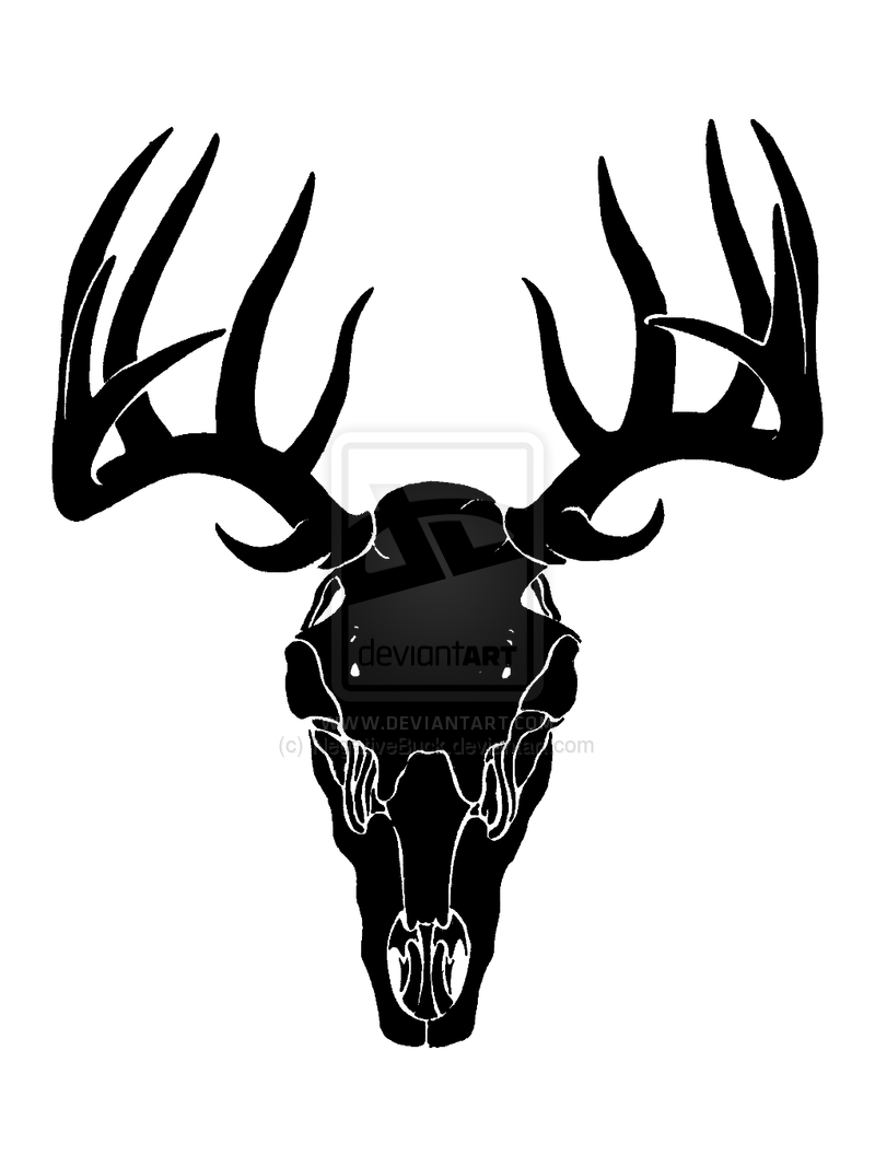 Black and white line art of deer head Good use for symbol mascot icon  avatar tattoo T Shirt design logo or any design you want 2276823 Vector  Art at Vecteezy