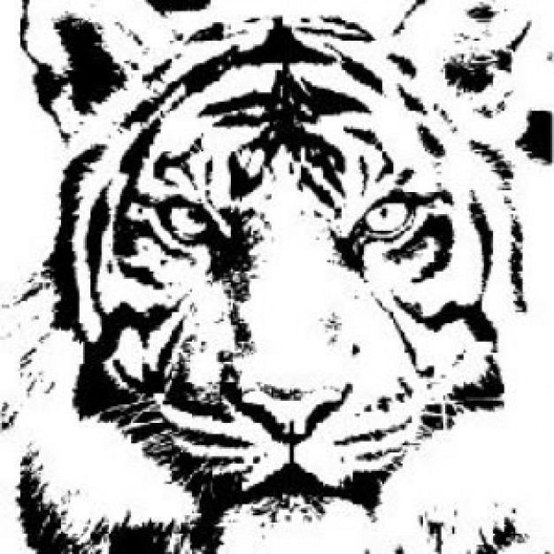 Tiger black and white tiger head black and white clipart 