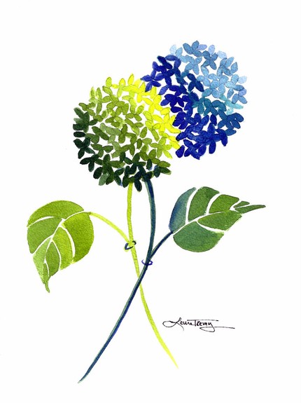 Vintage Hydrangea Cliparts