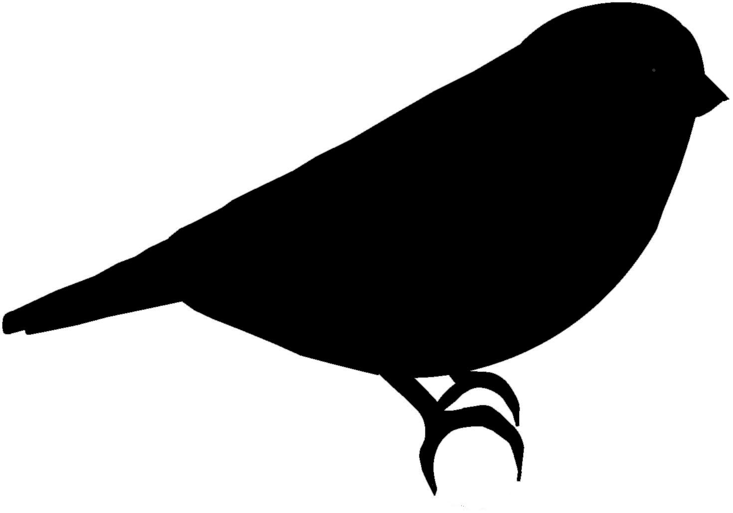 Черный силуэт птицы