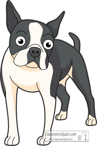 Dog Clipart : dogs_boston_terrier : Classroom Clipart 