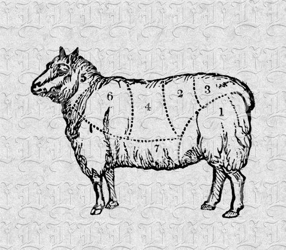 victorian goat illustration - Clip Art Library