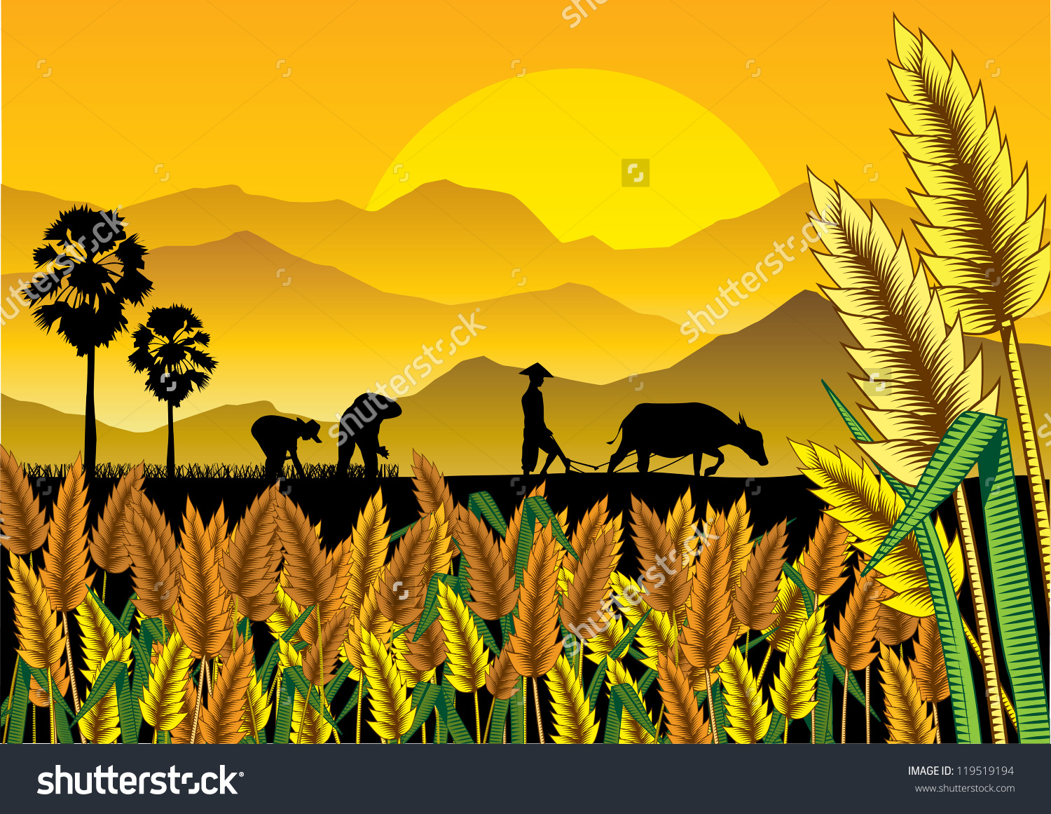 harvesting rice field clipart - Clip Art Library