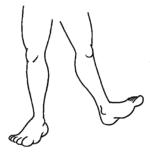 Ankle clipart black and white 