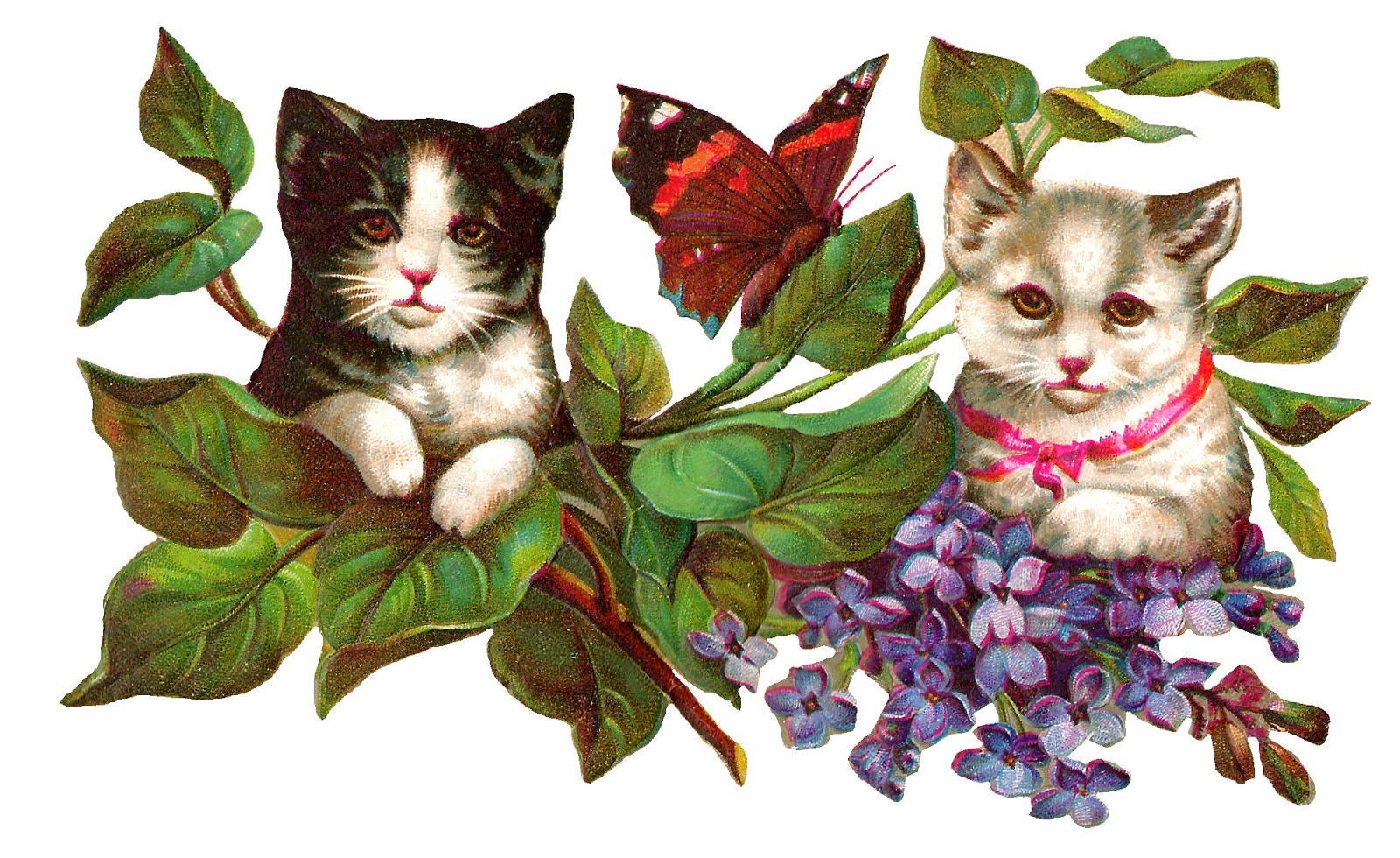 Коты на прозрачном фоне с цветами
