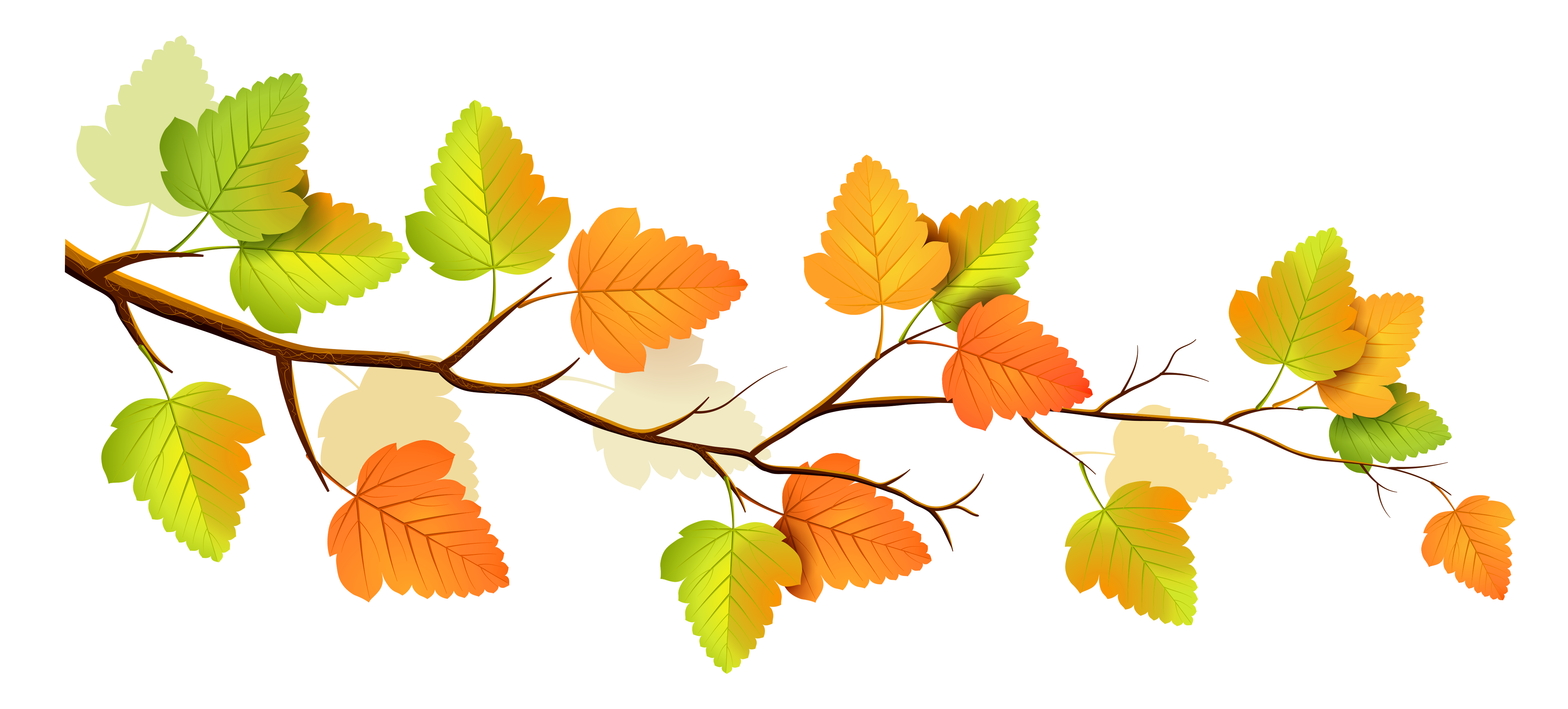 Fall tree branch clipart png 