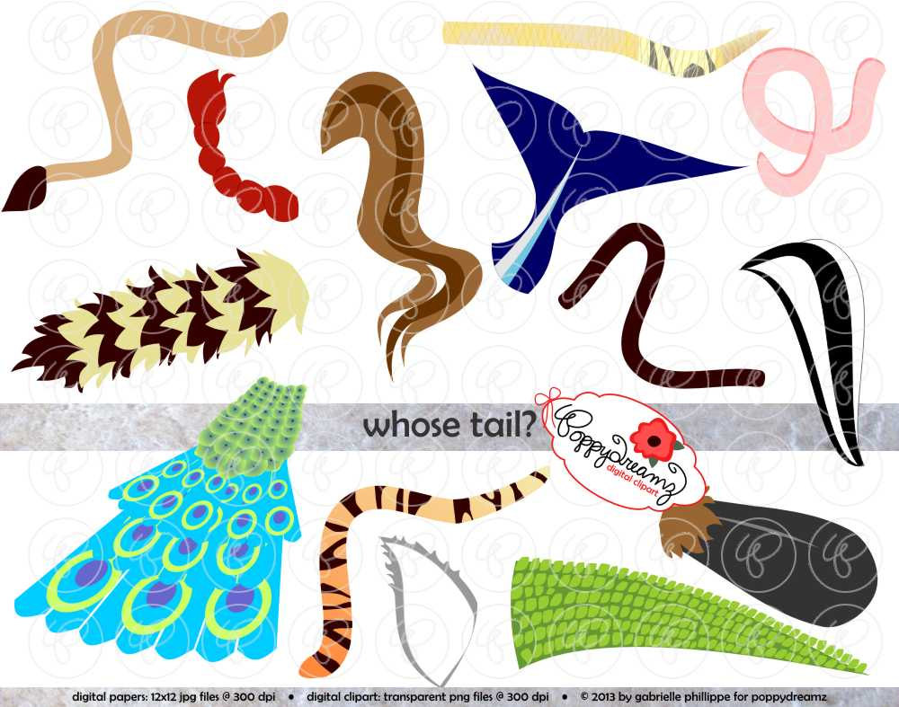 animal tail clip art - Clip Art Library