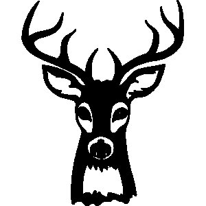Deer Antlers Clipart 