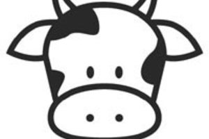 cow coloring pages cow face coloring 