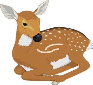 Baby deer clip art 