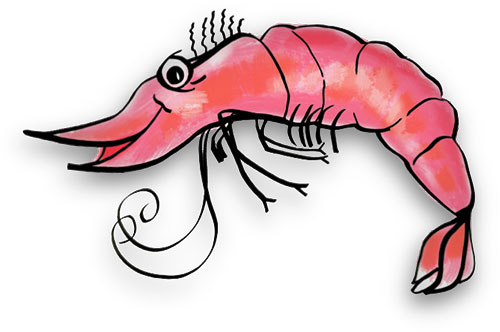 Cartoon Shrimp Cliparts
