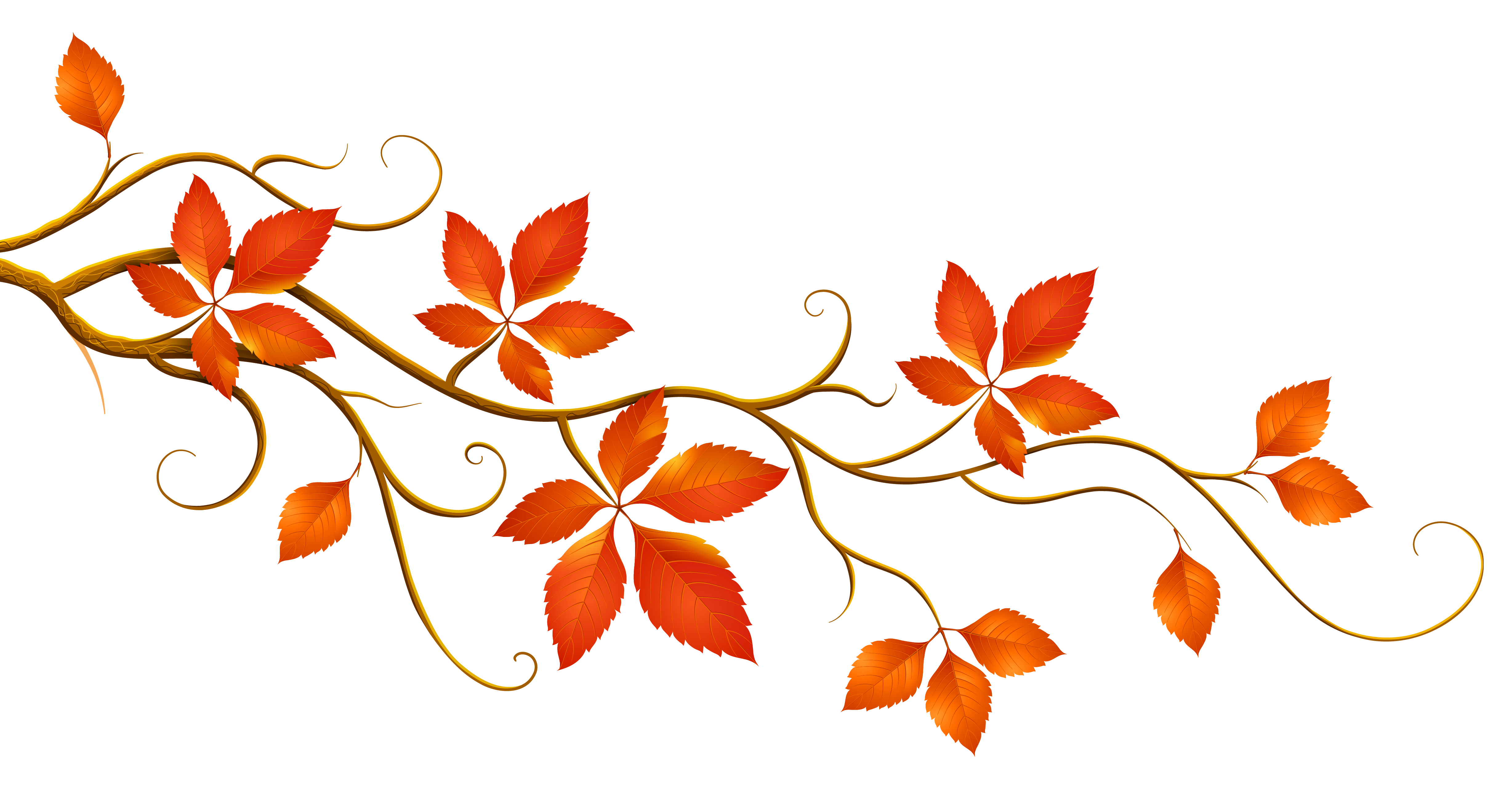 Autumn Flower Outline Clipart 