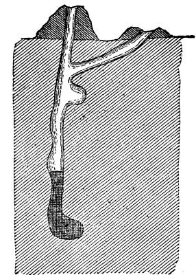 Cliparts Burrow Hole
