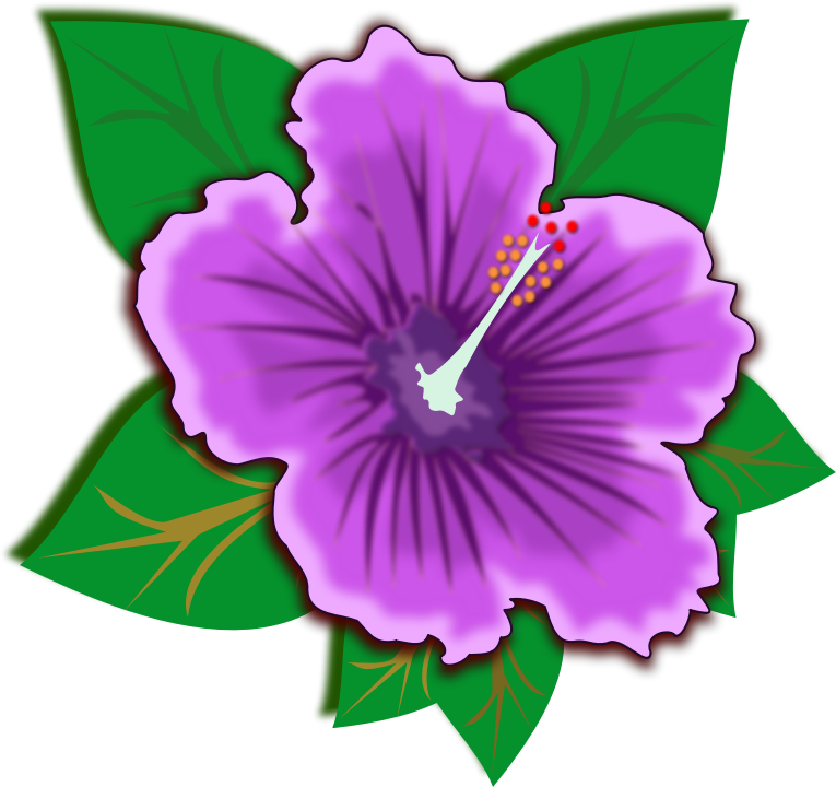 Hibiscus Flower Bloom Clipart Free Svg File Svg Heart - Bank2home.com