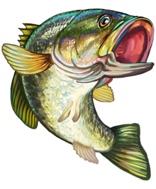 Bass fish vector clipart 